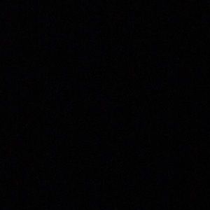 Meet your Posher, Shirley